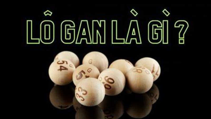 Lô gan là gì - Cách xác định nó bao lâu chưa về