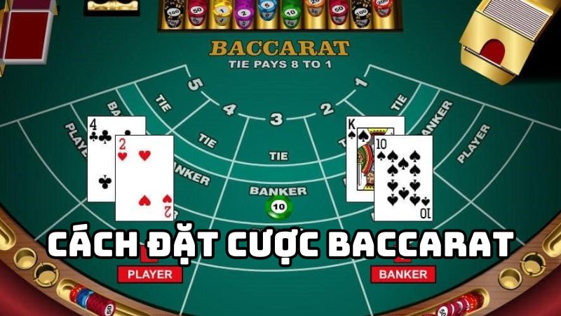 Cách chơi Baccarat cơ bản để tân thủ học và áp dụng